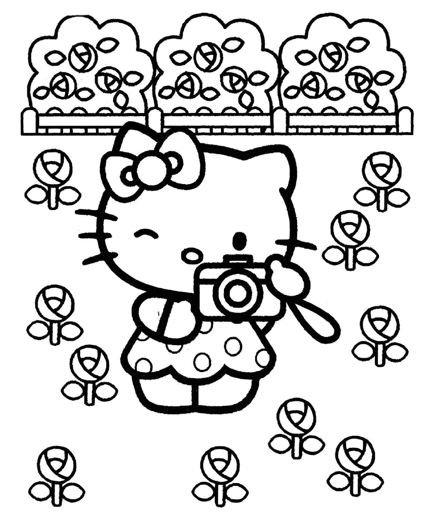 Bild Von Hello Kitty Beim Fotografieren Zum Ausmalen Ausmalbild